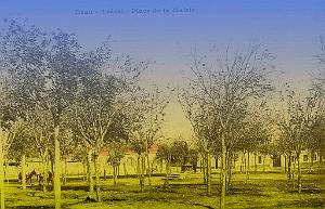 TREZEL 03